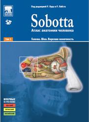 Sobotta, Атлас анатомии человека, Голова, Шея, Верхняя конечность, Том 1, Пуц Р., Пабст Р., 2010