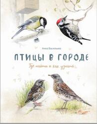 Птицы в городе, Где найти и как узнать, Васильева А., 2019