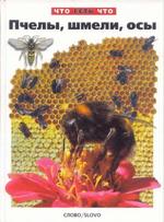 Пчелы, шмели, осы, Короткова О., 2001.