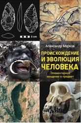 Происхождение и эволюция человека, Марков А.