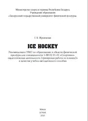 Ice Hockey, Жулкевская Г.В., 2020