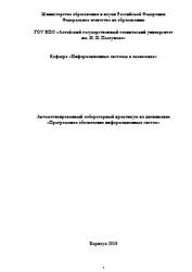 Программное обеспечение информационных систем, Автоматизированный лабораторный практикум, Пятковский И.О., 2010