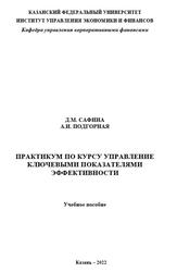 Практикум по курсу Управление ключевыми показателями эффективности, Сафина Д.М., Подгорная А.И., 2022