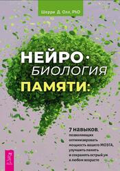 Нейробиология памяти, 7 навыков, позволяющих оптимизировать мощность вашего мозга, Олл Шерри Д., 2022