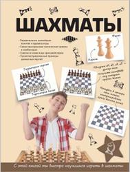 Шахматы, Смирнов Д.С., 2017