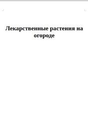 Лекарственные растения на огороде