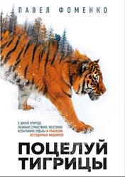 Поцелуй тигрицы, Фоменко П.В., 2020 Поцелуй тигрицы, Фоменко П.В., 2020