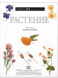 Растение, Очевидец, Обо всём на свете, Берни Д., 1995