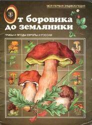 От боровика до земляники, Моя первая энциклопедия, Маталин А.В., 1999 От боровика до земляники, Моя первая энциклопедия, Маталин А.В., 1999